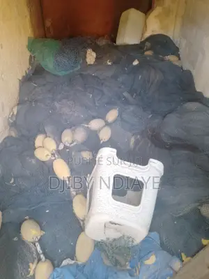 Filet De Pêche (Mbaal Fil a Tourné)