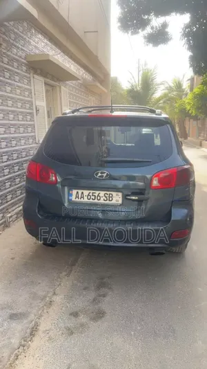 Hyundai Santa Fe 2010 Autre