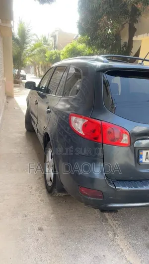 Hyundai Santa Fe 2010 Autre
