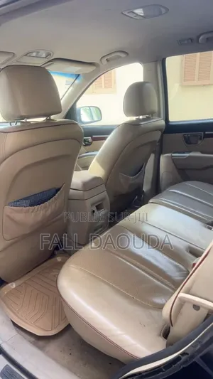 Hyundai Santa Fe 2010 Autre