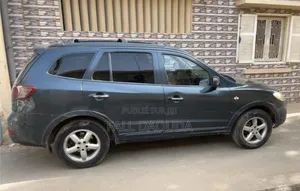 Hyundai Santa Fe 2010 Autre
