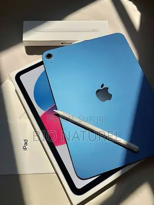 Apple iPad (2025) 256 GB Rose