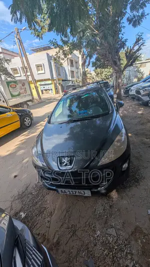 Peugeot 308 2009 Gris