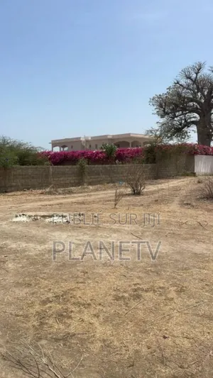 Terrain À Vendre À Diamnadio.