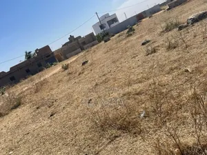 Terrain À Vendre Saly Douté