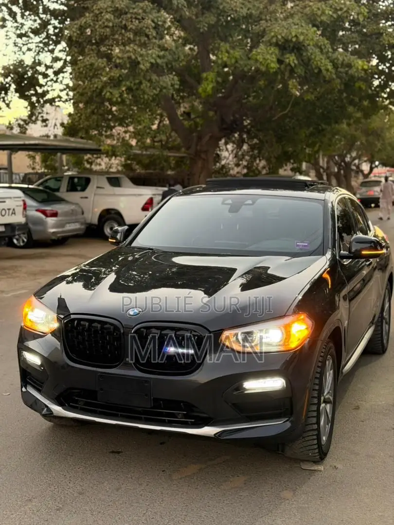 BMW X4 xDrive30i 2019 Noir Mat