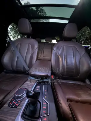 BMW X4 xDrive30i 2019 Noir Mat