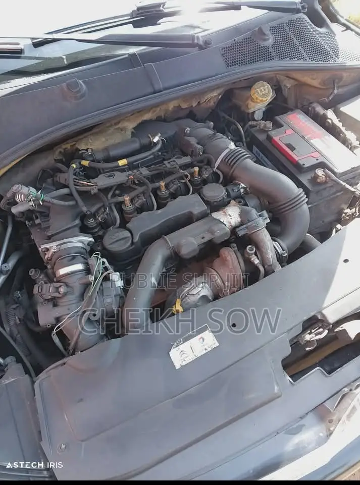 Citroen C-Elysee 1.6 Diesel FWD 2017 Noir