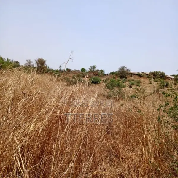 Location Terrain Agricole De 7.000 M2 Vers Notto Diobass-Thiès