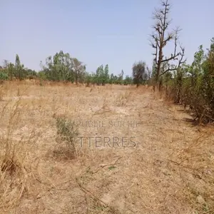 Location Terrain Agricole De 7.000 M2 Vers Notto Diobass-Thiès