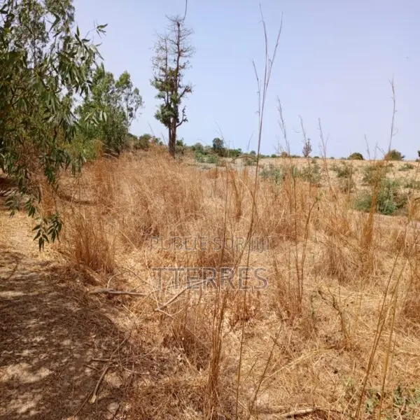 Location Terrain Agricole De 7.000 M2 Vers Notto Diobass-Thiès