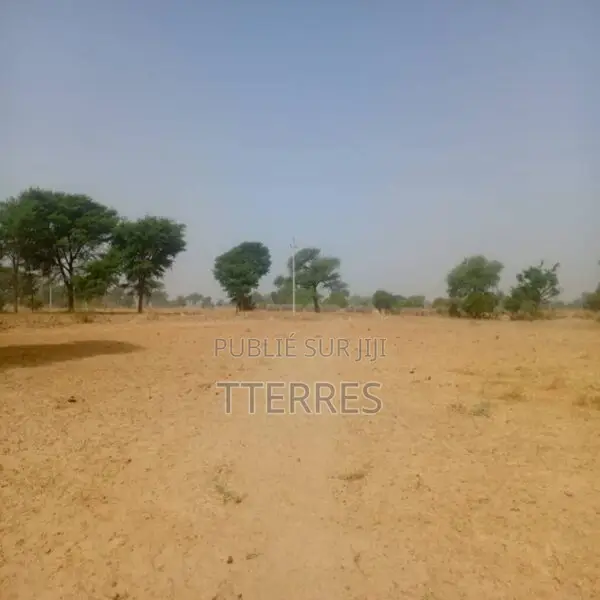 Terrain Agricole De 1,40 Hectare Vers Notto Diobass – Thiès