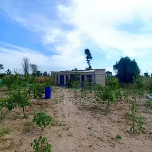 Verger De 3,55 Hectares Vers Tassette – Thiès