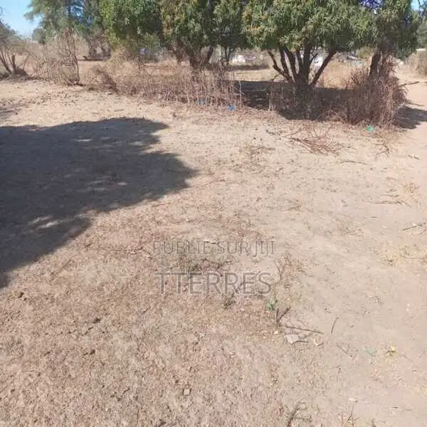 Terrain Agricole De 7500 M2 Vers Notto Diobass – Thiés