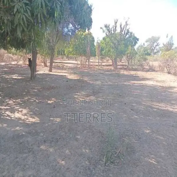 Terrain Agricole De 7500 M2 Vers Notto Diobass – Thiés