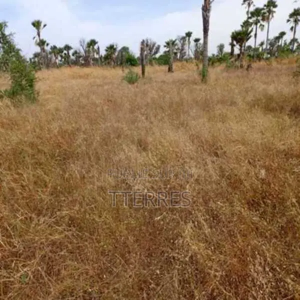 Terrain Agricole De 1,02 Hectare Vers Sindia – Mbour