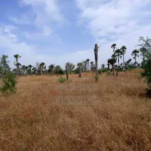Terrain Agricole De 1,02 Hectare Vers Sindia – Mbour