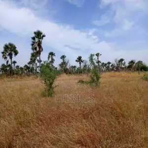 Terrain Agricole De 1,02 Hectare Vers Sindia – Mbour
