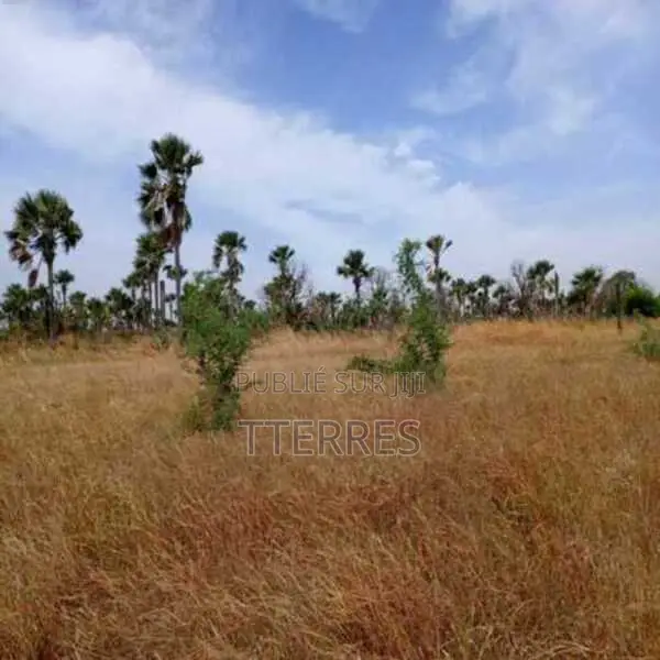 Terrain Agricole De 1,02 Hectare Vers Sindia – Mbour