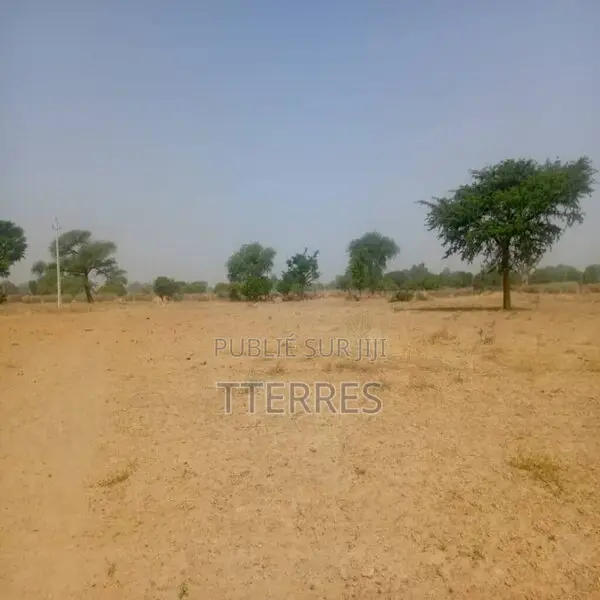 Terrain Agricole De 1,40 Hectare Vers Notto Diobass – Thiès