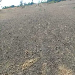 Terrain Agricole De 2 Hectares Vers Nguékhokh – Mbour