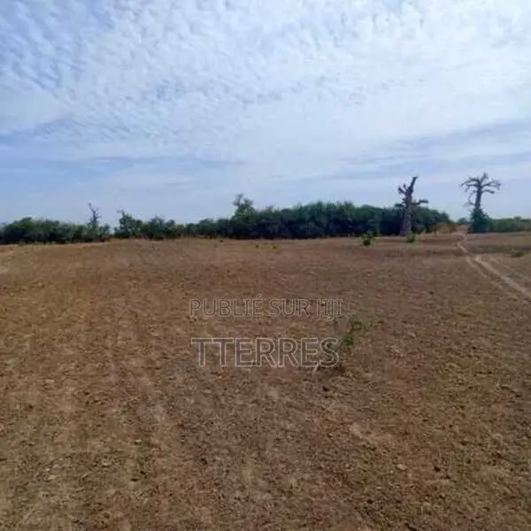 Terrain Agricole De 2 Hectares Vers Nguékhokh – Mbour