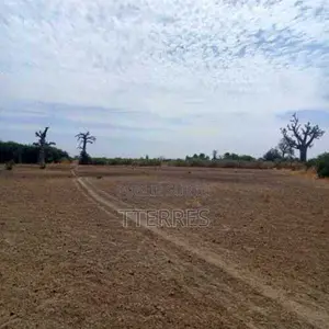 Terrain Agricole De 2 Hectares Vers Nguékhokh – Mbour