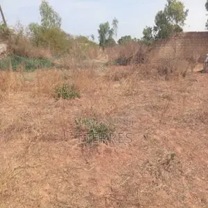 Verger De 5.000 M2 Vers Keur Moussa – Thiès