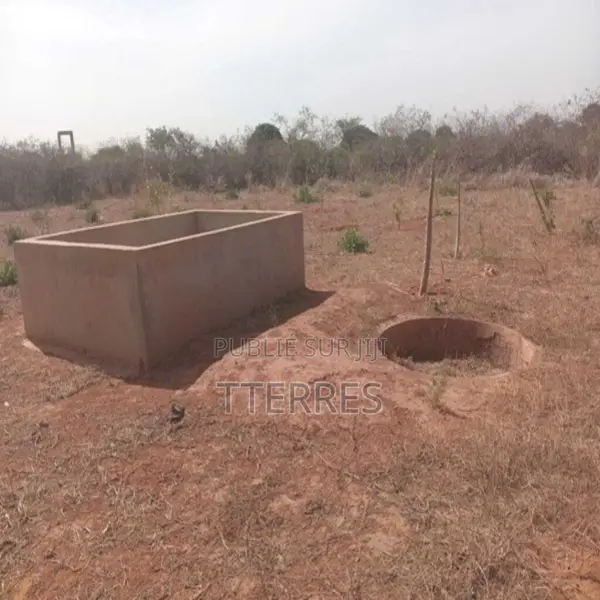 Verger De 5.000 M2 Vers Keur Moussa – Thiès