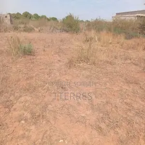 Verger De 5.000 M2 Vers Keur Moussa – Thiès