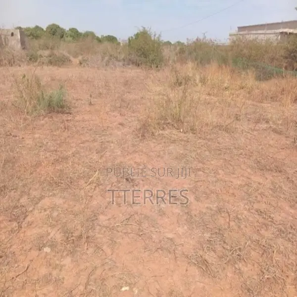 Verger De 5.000 M2 Vers Keur Moussa – Thiès