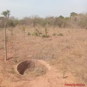 Verger De 5.000 M2 Vers Keur Moussa – Thiès