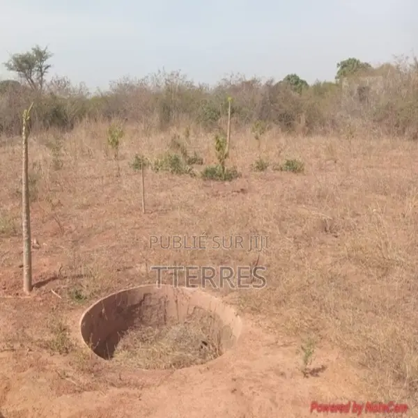 Verger De 5.000 M2 Vers Keur Moussa – Thiès