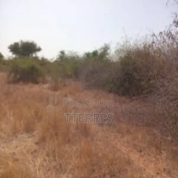 Terrain Agricole De 5000 M2 Vers Pout – Thiès