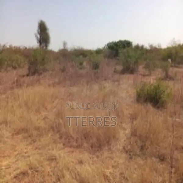 Terrain Agricole De 5000 M2 Vers Pout – Thiès