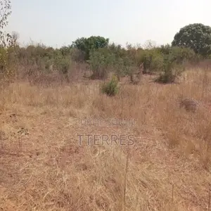 Terrain Agricole De 5000 M2 Vers Pout – Thiès