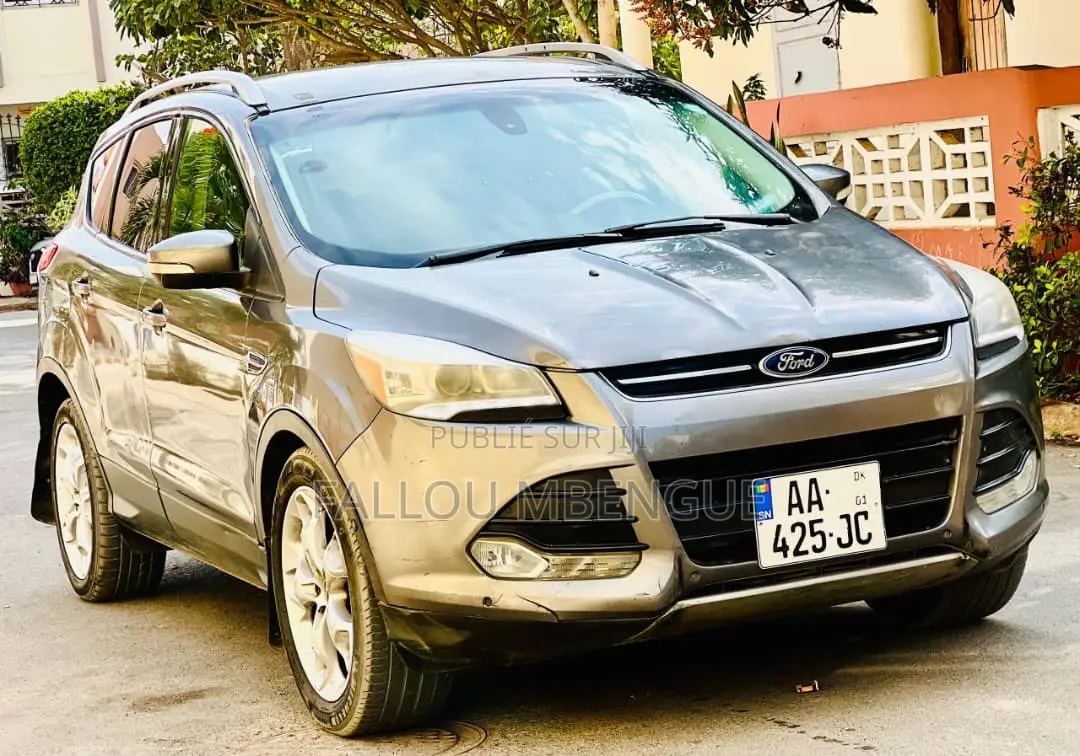 Ford Escape 2014 Gris