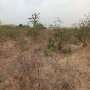 Terrain Agricole De 2 Hectares Vers Sindia – Mbour