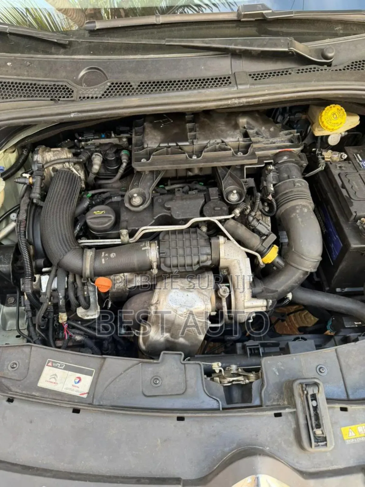 Citroen C3 2019 Vert