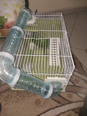 Cage Pour Hamster