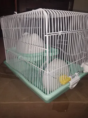 Cage Hamsters
