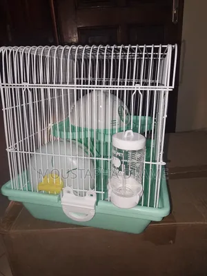 Cage Hamsters