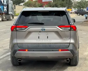 Toyota RAV4 2020 Gris