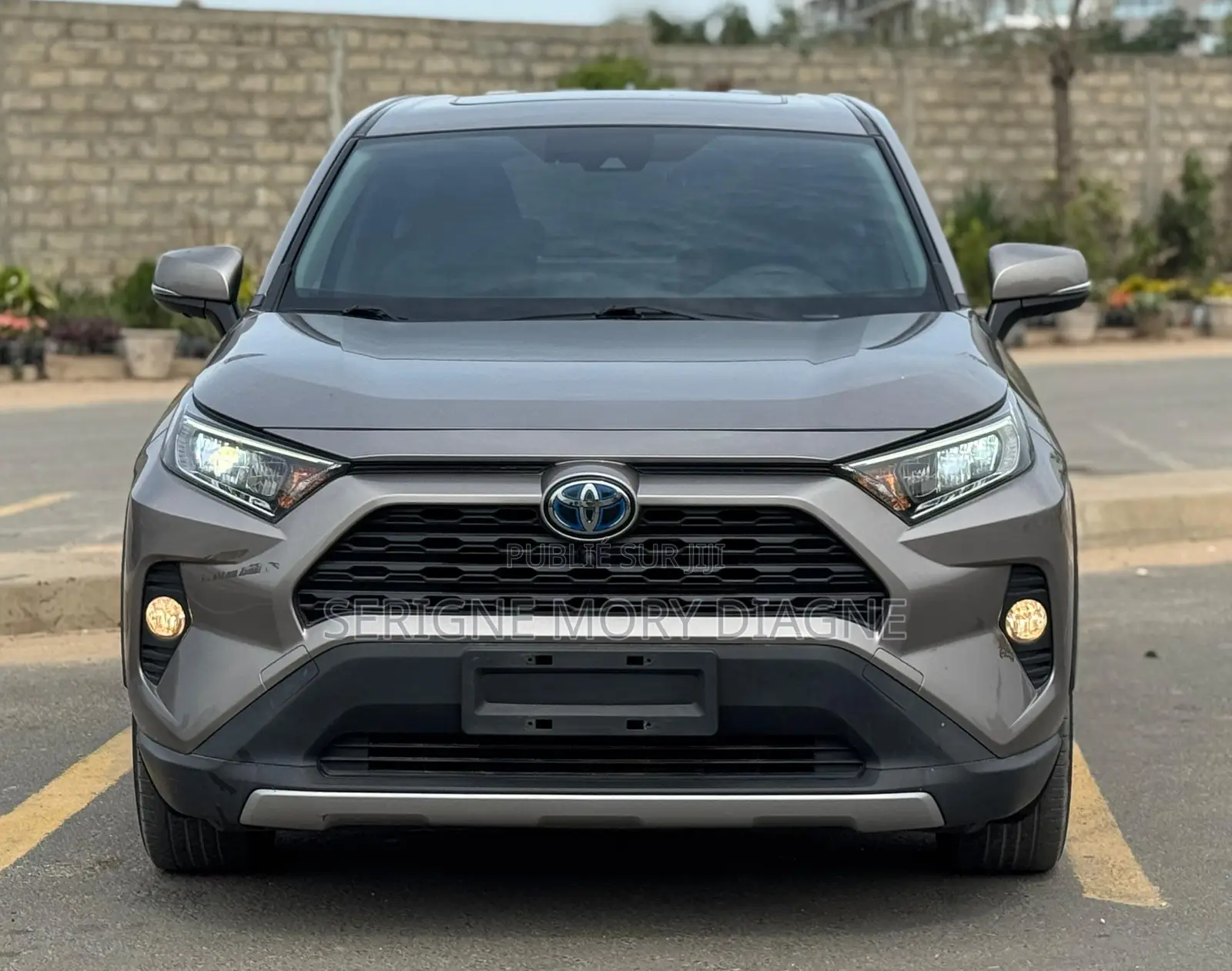 Toyota RAV4 2020 Gris