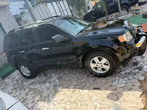 Ford Escape 2012 Black