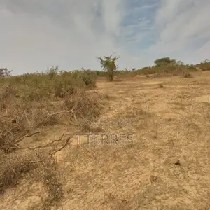 Terrain Agricole De 10 Hectares Vers Darou Khoudoss – Tivaouane