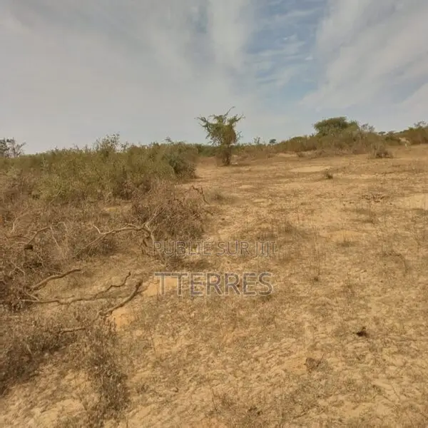 Terrain Agricole De 10 Hectares Vers Darou Khoudoss – Tivaouane