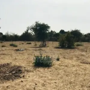 Terrain Agricole De 3,02 Hectares Vers Sindia – Mbour