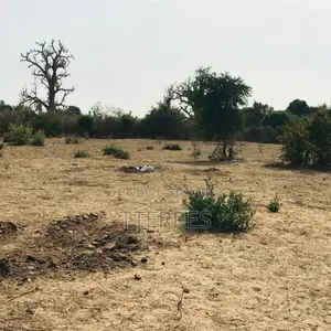 Terrain Agricole De 3,02 Hectares Vers Sindia – Mbour