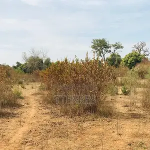 Terrain Agricole De 1,28 Hectare Vers Sindia – Mbour